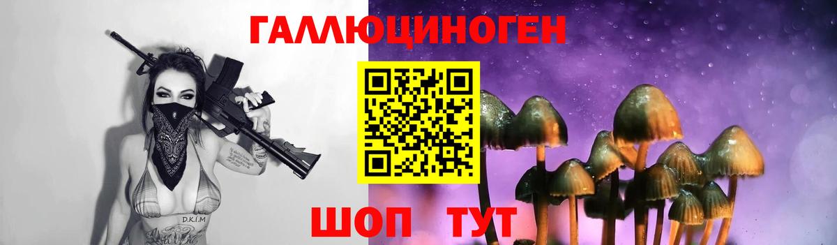 Галлюциногенные грибы MAGIC MUSHROOMS Бийск